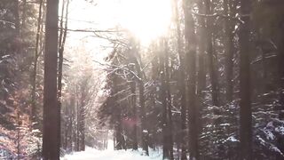 Winter solstice - walking in a winter forest on a sunny day | Trending HD Video