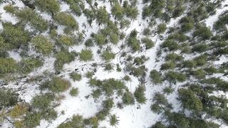 4K Computer Monitor - 4k winter forest aerial view in snowy pakistan | Trending HD Video