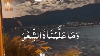 Tilawat e Quran Majeed | Heart Touching voice