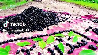 Village in Real Fruit