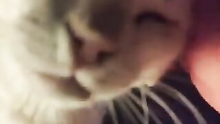 Stefan likes REAL music