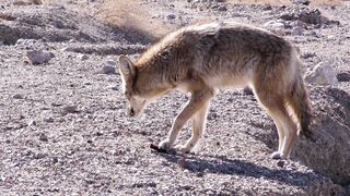 4K Computer Monitor - id | Trending HD Video 51