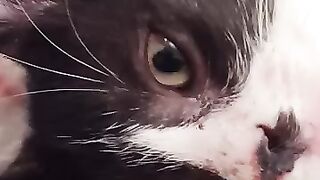 Enid has that special moustache