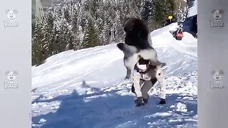 Funny Videos Part 91