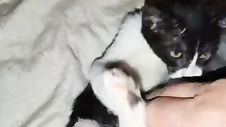 This is Enid