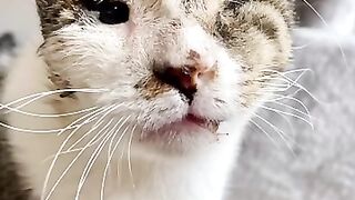 Marlo's miracle healing thanks to Sabine.
