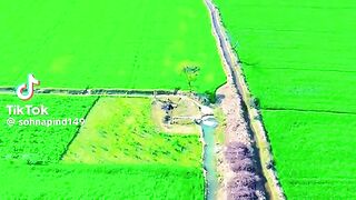 Simple Village 5