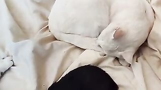 A busy day