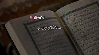 Jumma Mubarak to All❤️????????️ || Friday Status???????? || New status Video???? || Islamic Status???? || #jummamubarak #jummamubarakstatus