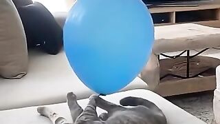Just Sharing Someone else's video. Probably have to remove it soon.