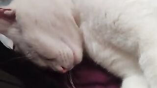 George