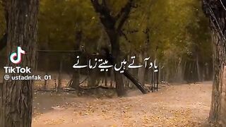 My Favourite Song 8