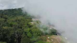 4K Computer Monitor - aerial view of misty forest landscape | Trending HD Video