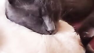 Happy's Girlfriend is Sorry