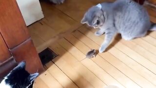 А що воно таке ?