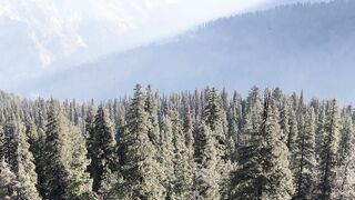Travelon - kedarkantha trek | Trending HD Video 5