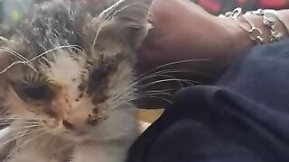 Learn about this girl tomorrow