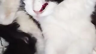 Minnie Mou's thing exploded
