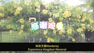 1 The Ryukyu Experience Kingdom takes you on a tour of the charm of ancient culture.