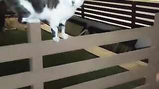 The welcoming committee
