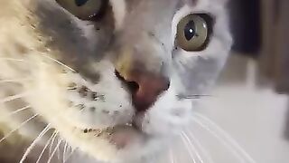 Good morning  Little 'un