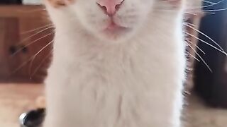 No High 5 today