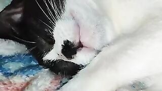 She's staying there too, too, too