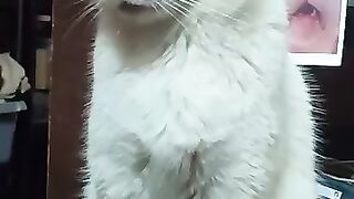 Just too sexy