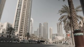4K Computer Monitor - a city street with tall buildings and palm trees | Trending HD Video