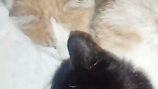 What we do when it's cold