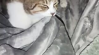 Keep Munchin', Polly