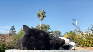 Funnyfuzzy - id | Trending HD Video 204