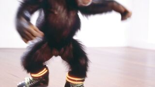 Funnyfuzzy - id | Trending HD Video 205