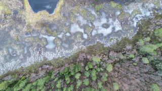 4K Computer Monitor - aerial view of tranquil forest and lake landscape | Trending HD Video