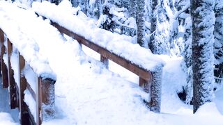 Winter Coat - id | Trending HD Video 82