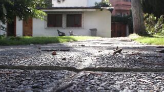 Funnyfuzzy - id | Trending HD Video 211