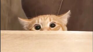 I'm watching you!????