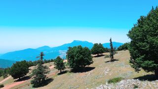 Travel Backpack - id | Trending HD Video 17