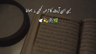 ????????????????️ . . . . #creatorsearchinsight #foyoupage #viralvideo #foryou #ajmalrazaqadri