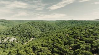 4K Computer Monitor - aerial view of a forested area with a river | Trending HD Video