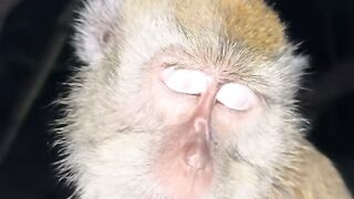 sleep 3