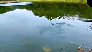 Fishing Teaches Patience and Brings Peace to the Mind