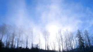 Winter Coat - id | Trending HD Video 83