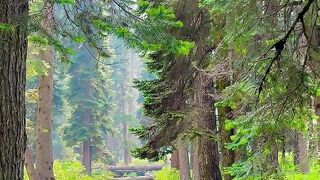 natural beauty video 5
