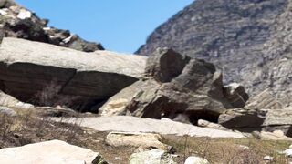 4K resolution - mountain dog strolls in scenic himachal pradesh | Trending HD Video