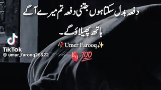True Words 26