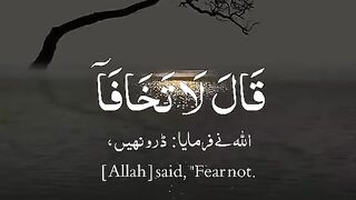 Quran Recitation #status #quran #recitation #tilawat #viral #islamic #quranrecitation