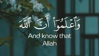 Soothing Quran Recitation ❤