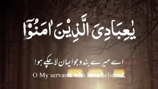 Tilawat Quran| Best tilawat with beautiful voice