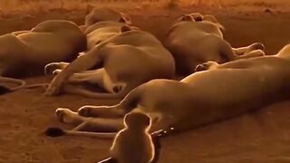 «Мальчик_ которы